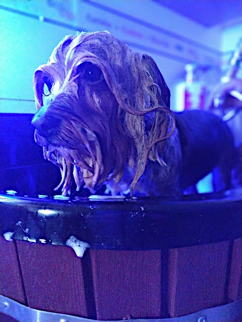 Banho de Ozônio